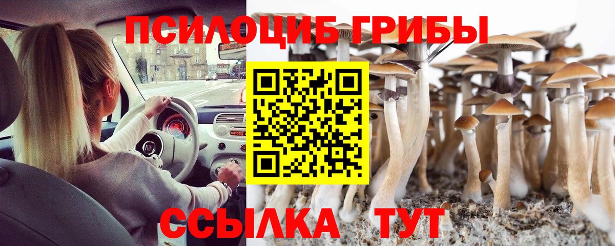Псилоцибиновые грибы мицелий  Вход с VPN  Россошь 