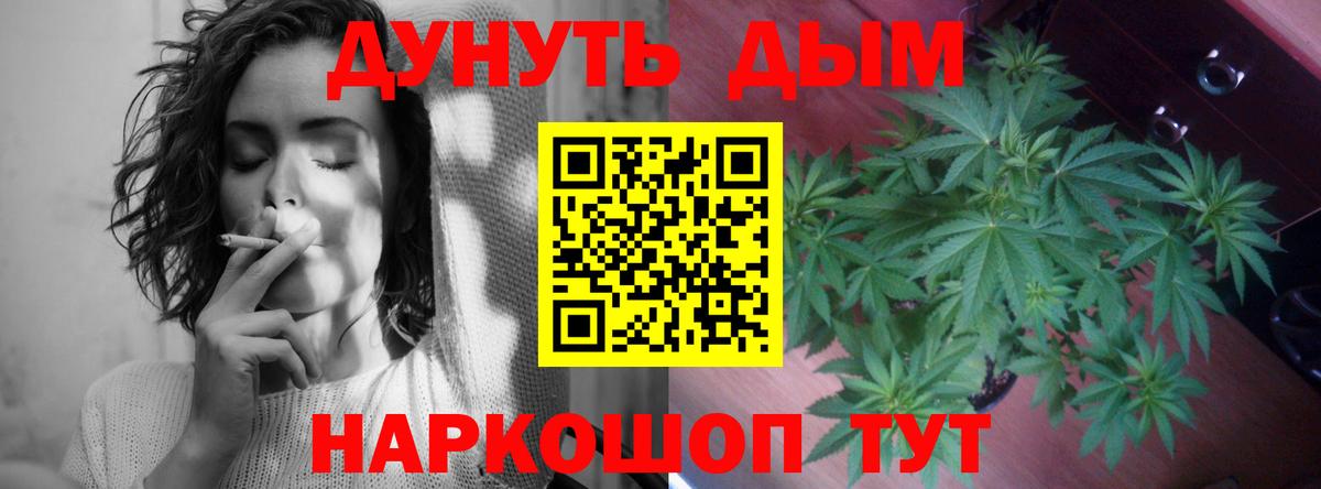Каннабис сатива Россошь